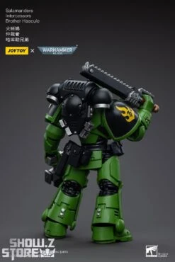 JoyToy Source 1/18 Warhammer 40K Salamanders Intercessors Brother Haecule -Cheap Toy Store 3420fa5575